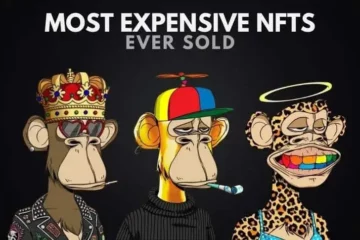 What Is The Most Expensive NFT Art in the World?