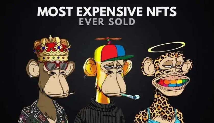 What Is The Most Expensive NFT Art in the World? - NFT Politan