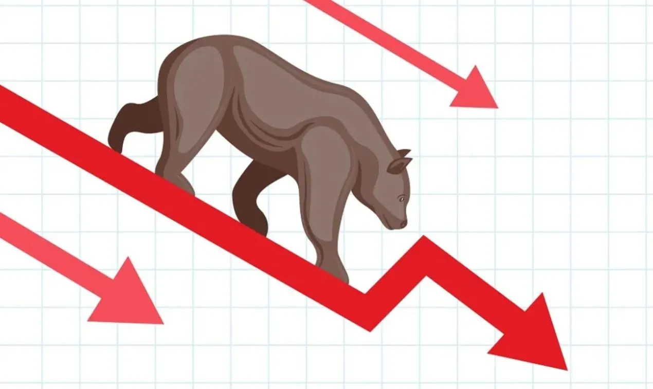 Which NFT Collections Will Survive The Bear Market