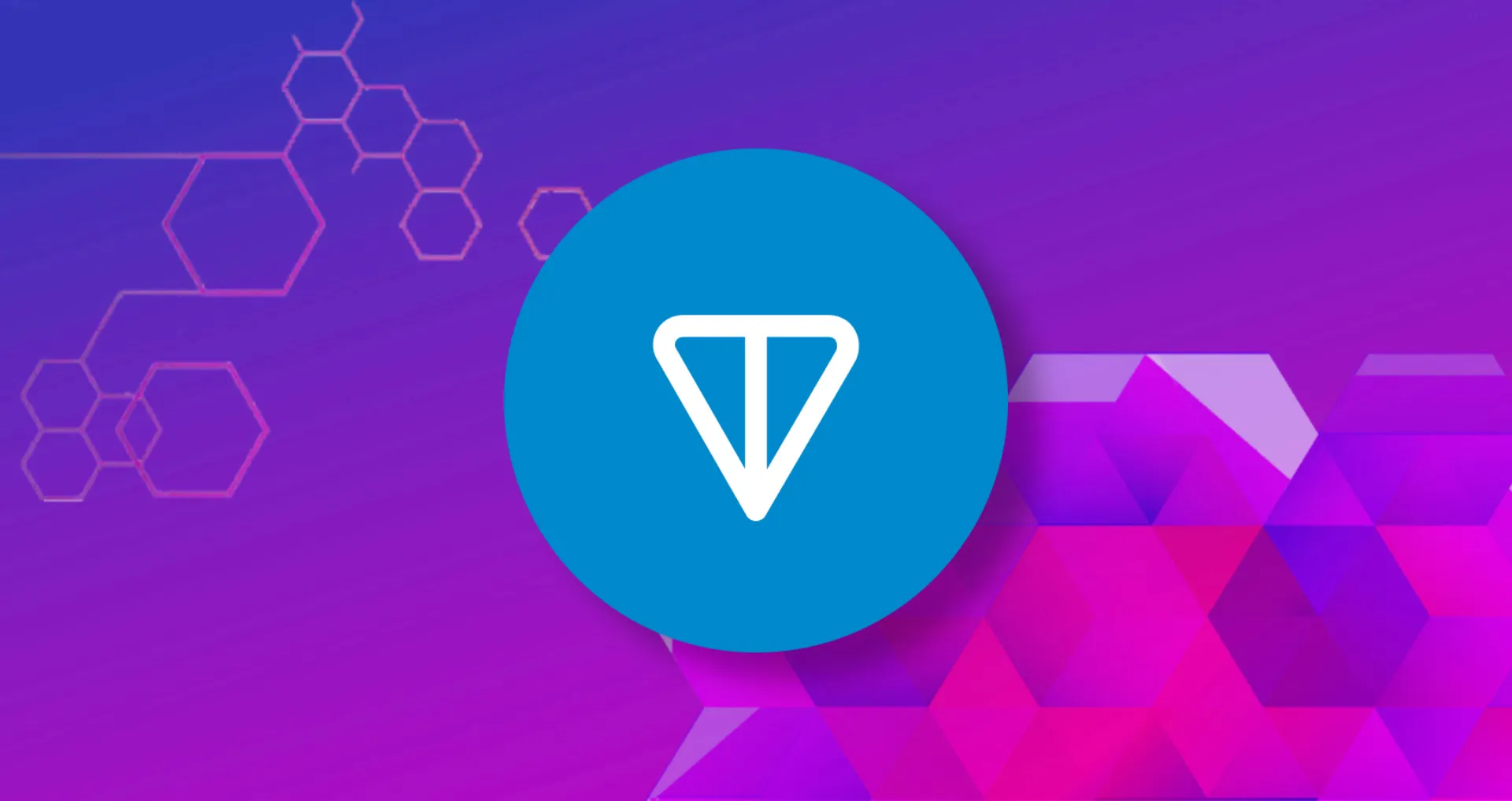 TON: About The Project