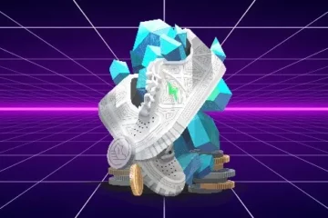 The STEPN Project: How It All Began