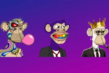 Overview Of The Bored Ape Yacht Club Collection