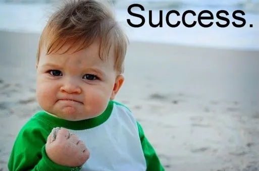 Success Kid NFT Meme